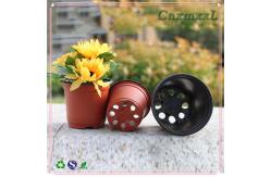 China good quality plastic PP agar-agar pot flower pot in low price supplier