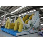 Snow Mountain Big Inflatable Water Slides , Amusement Park Commercial Grade Water Slide