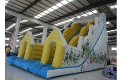 China Snow Mountain Big Inflatable Water Slides , Amusement Park Commercial Grade Water Slide supplier