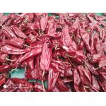 China 8000 SHU Yidu Chili Pungent Chilli Flavor Beijinghong Jinta Chilli for sale