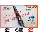 Q19 Diesel Engine Common Rail Injector 4087888 4087889 4928348 4010025 4928345 4928346