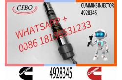 China Q19 Diesel Engine Common Rail Injector 4087888 4087889 4928348 4010025 4928345 4928346 supplier