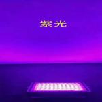 Building Led Flood Light Outdoor Security Lighting High Brightness No Lamp Base