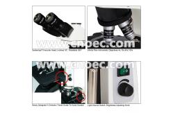 China Hobby Achromatic LED Wide Field Microscope Phase Contrast Light Microscopes A12.1010 supplier