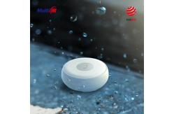 China IP65 Waterpoof Zigbee Water Leak Sensor 2.4GHz Tuya APP Control supplier