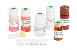 China 96T/Kit Elastase Assay Kit For Determination Male Infertility Diagnosis supplier