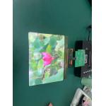 8 Inch AMOLED OLED Display With Touch Panel 1860×2480 Resolution MIPI Interface  430cd/m2 Driving IC RM69380 for sale