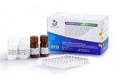 China Zinc Assay Kit / Zinc Test Kit For Determination Seminal Plasma Zinc Levels supplier
