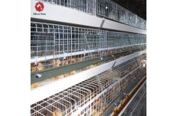 China 108 Chickens High Brood Survival Rate Broiler Cage System For Little Chick supplier