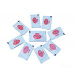 Japanese Sushi Wasabia Japonica Powder 3g Mini sachet wasabi for sale