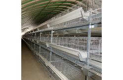 China Layer Chicken Poultry Cage Cold Galvanized Steel Wire Mesh supplier