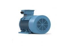 China 6 Pole Synchronous Motor Permanent Magnet supplier