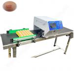 High Speed Expiry Date Egg Printing Machine Chicken Large Egg Coding Machine 48500 Eggs/H for sale