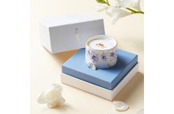 China Customized Ceramic Wax Melt Burners in Various Shapes Sample Charge supplier