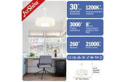 China 1stshine Energy Saving Silent Bladeless LED Ceiling Fan with Smart Remote Control supplier
