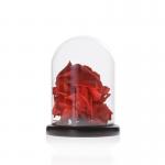 Handmade Borosilicate D3.94xH6.3 Inch Glass Cloche Dome for sale