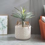 Stunning Plant Display With Fiber Clay Planters Durable And Stylish for sale