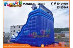 China Fire Retardant Outdoor Inflatable Water Slides / Double Lane Slip And Slide supplier