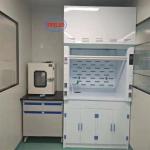 400m3/h Airflow PP Chemical Fume Hood Laboratory Fume Hoods Ensuring Clean and Healthy Work Environment for sale