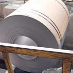 Duplex S32750 Stainless Steel Plate  2507 SS Plate ASTM A240 0.6 - 40.0mm Hot Rolled NO.1 2B Finishing for sale
