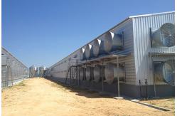 China Fabrication Chicken Coop Steel Frame With Customized Dimension supplier