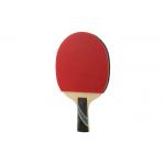 Ayous Blade Reverse Rubber Table Tennis Bats Orange Elastic Sponge Long Short Handle for sale