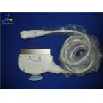 Livestock Ultrasound Transducer Probe GE 3SP Cardiac Sector for sale