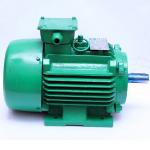 50HZ 60HZ 3 Phase Permanent Magnet Synchronous Motor Price IC411 Cooling for sale