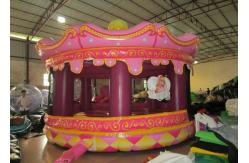 China Round inflatable jumping house Merry-go-round inflatable bouncer inflatable princess bouncy castle supplier