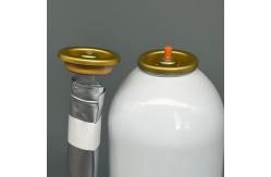 China Durable Female Bag on Valve for Aerosol Dispensing with Precision and Efficiency supplier