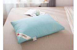 China Solid 9D Brewing Fiber Duck Feather Down Pillow supplier
