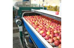 China Lifting Apple Grading Fruit Processing Equipment For Classifying supplier