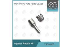 China 7135-663 Delphi Injector Repair Kit Nozzle-Valve Kit Nozzle-CVA Kit supplier