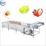 Vegetable Washer Machine With Water Circulating System Fruit Washing  Machine for sale