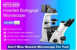 China 20x / 40x Annular Spot Inverted Optical Microscope Trinocular A14.2605 supplier