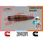 Common Rail Injector Fuel Injecto 4905880 2086663 2894920PX 2058444 For ISZ13 Excavator DC09 DC16 DC13 for sale
