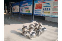China OEM Special Screw Elements Design for JSW Twin Screw Extruder supplier