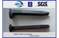 China Black Oxide Customized Dog Spikes With ISO Certificate 4.6# Material supplier