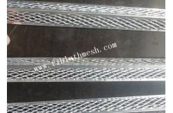 China Angle Bead Round Nose Metal With Diamond Mesh Wings supplier