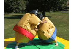China Sumo Wresting Inflatable Amusement Park supplier