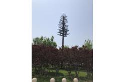 China Artificial Tree Telecommunication Monopole Camouflage Cell Tower supplier