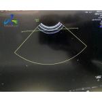 GE RIC6-12-D Used Ultrasound Probe 3D 4D Intra Cavity Voluson E8 Medical Ultrasound Transducer for sale