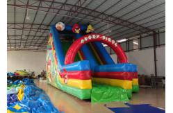 China Inflatable Crazy Bird Toddler Water Slide , Attractive Jumping Castle Water Slide supplier