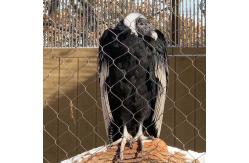 China High Strength Knotted Stainless Steel Rope Wire Mesh For Zoo Enclosure supplier