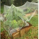 White Bird Proof Net 5gsm 7gsm 8gsm Apple Orchard Netting for sale