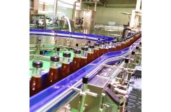 China Automatic Jujube Processing Line 50T/H  Extraction And Beating supplier