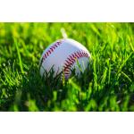 Synthetic Artificial Turf Grass For Cricket Pitch 25mm Thickness Double Backing