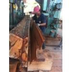 quality Automatic Wood Band Saw Machine Vertical Band sawmill with CNC Log Carriage