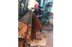 China quality Automatic Wood Band Saw Machine Vertical Band sawmill with CNC Log Carriage supplier