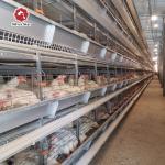 H Type Poultry Equipment Automatic Battery Cage System 9 Layers / Cell for sale